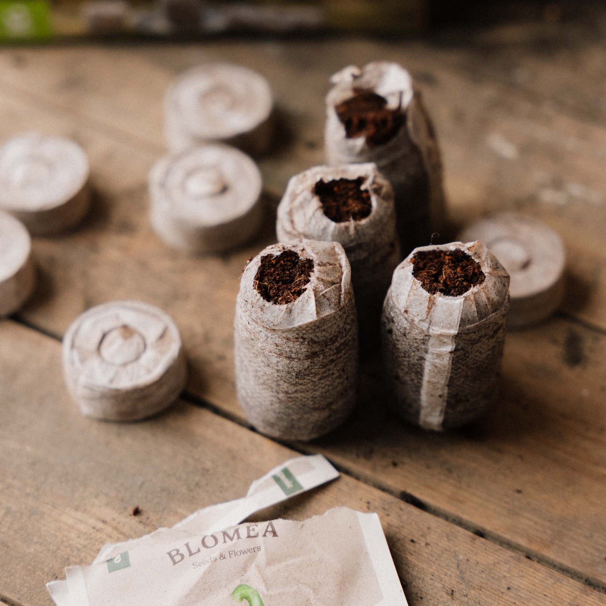 Briquettes de noix de coco 35 mm - 50 pièces