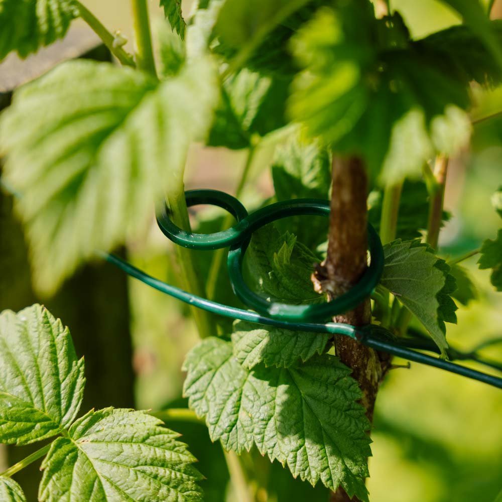 Cercles torsadés réglables pour plantes, 3 pièces