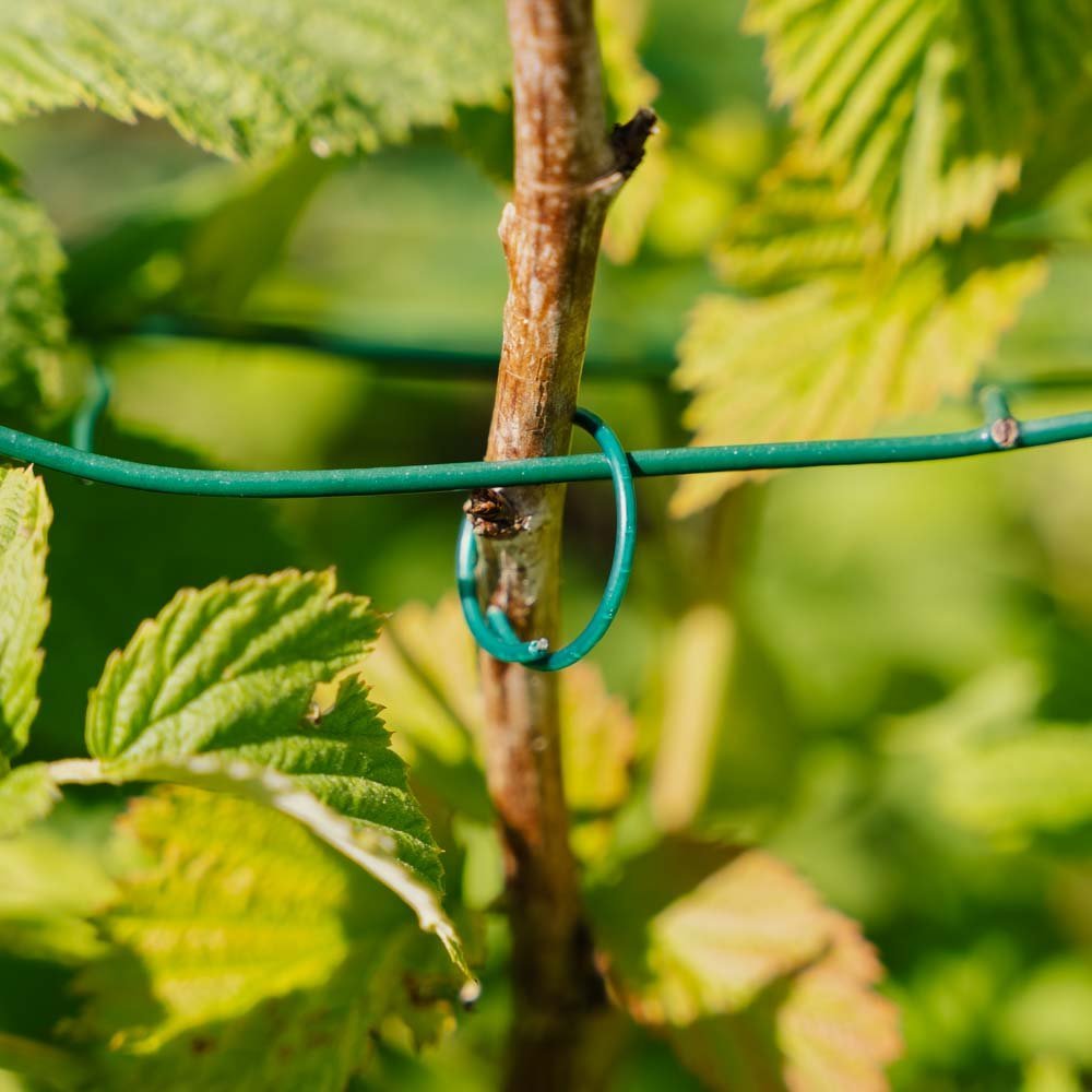 Cercles végétaux enduits de PVC, 3 pièces