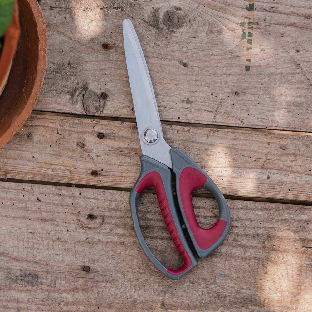 Cisaille de jardin
