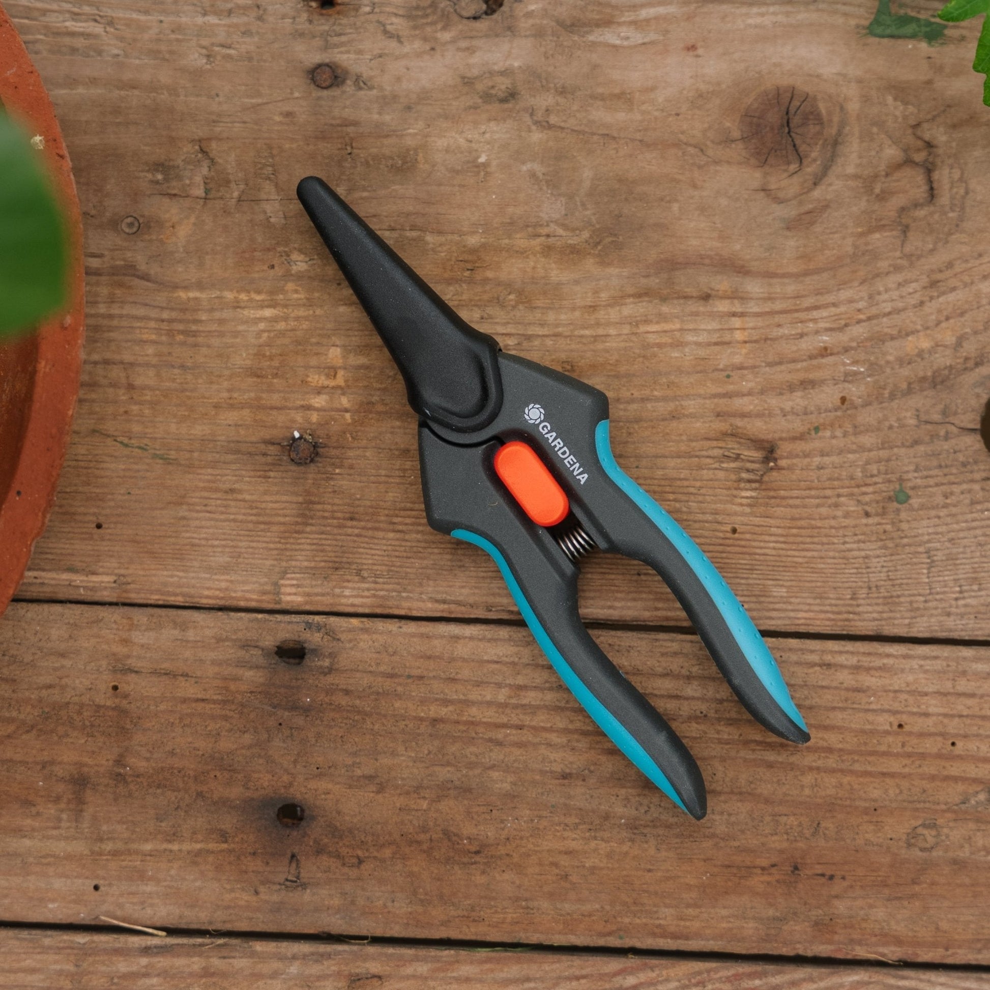 Ciseaux FreshCut pour herbes