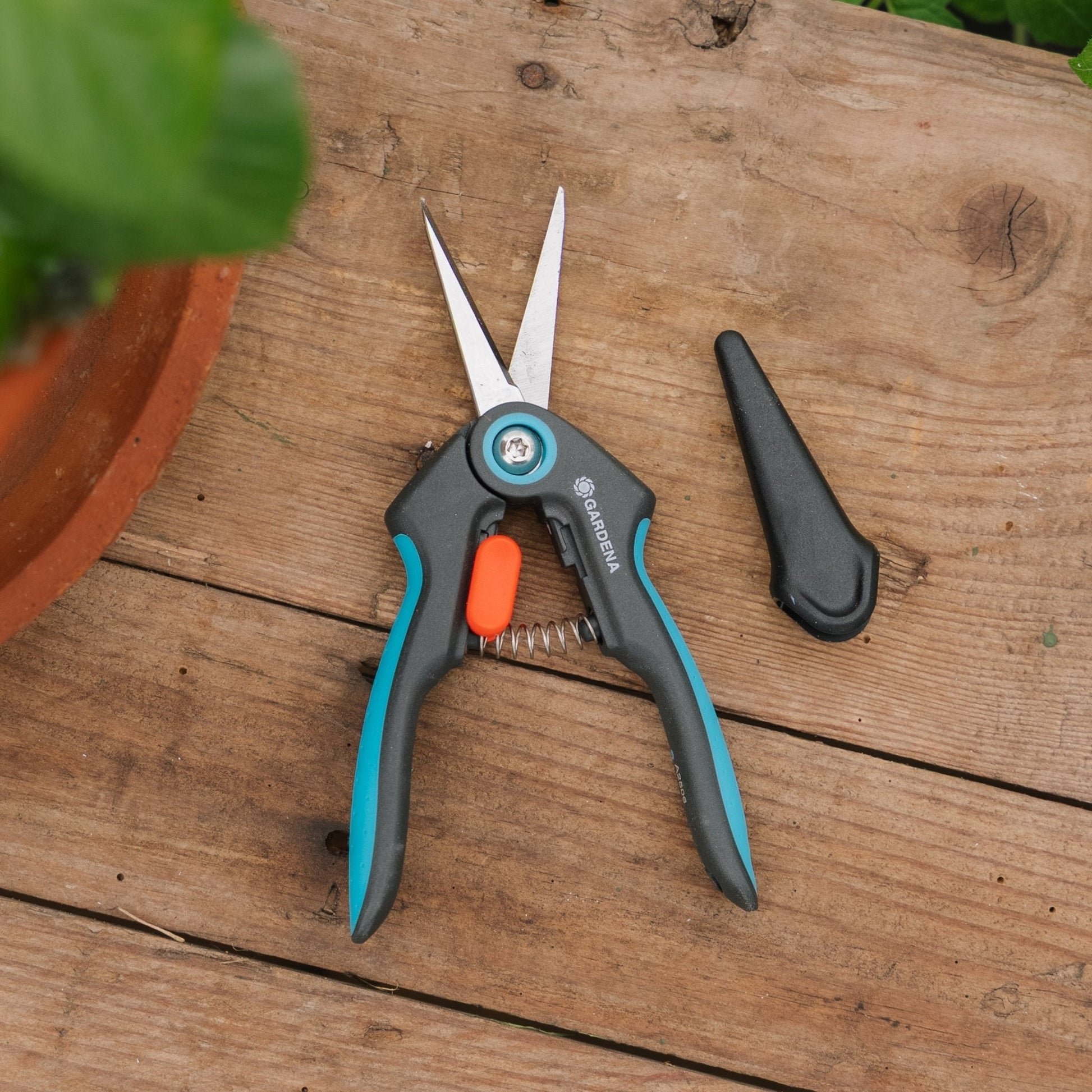 Ciseaux FreshCut pour herbes