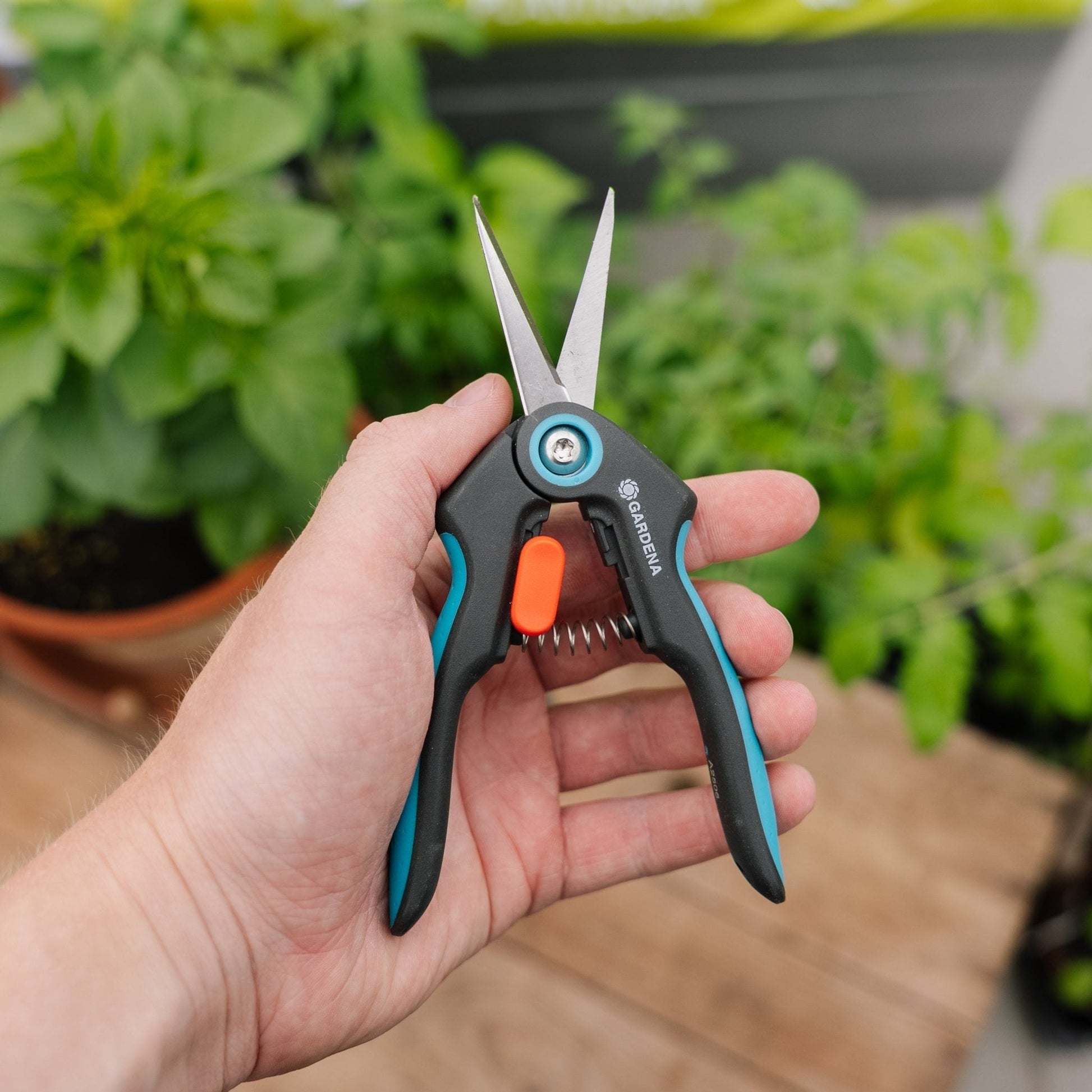 Ciseaux FreshCut pour herbes