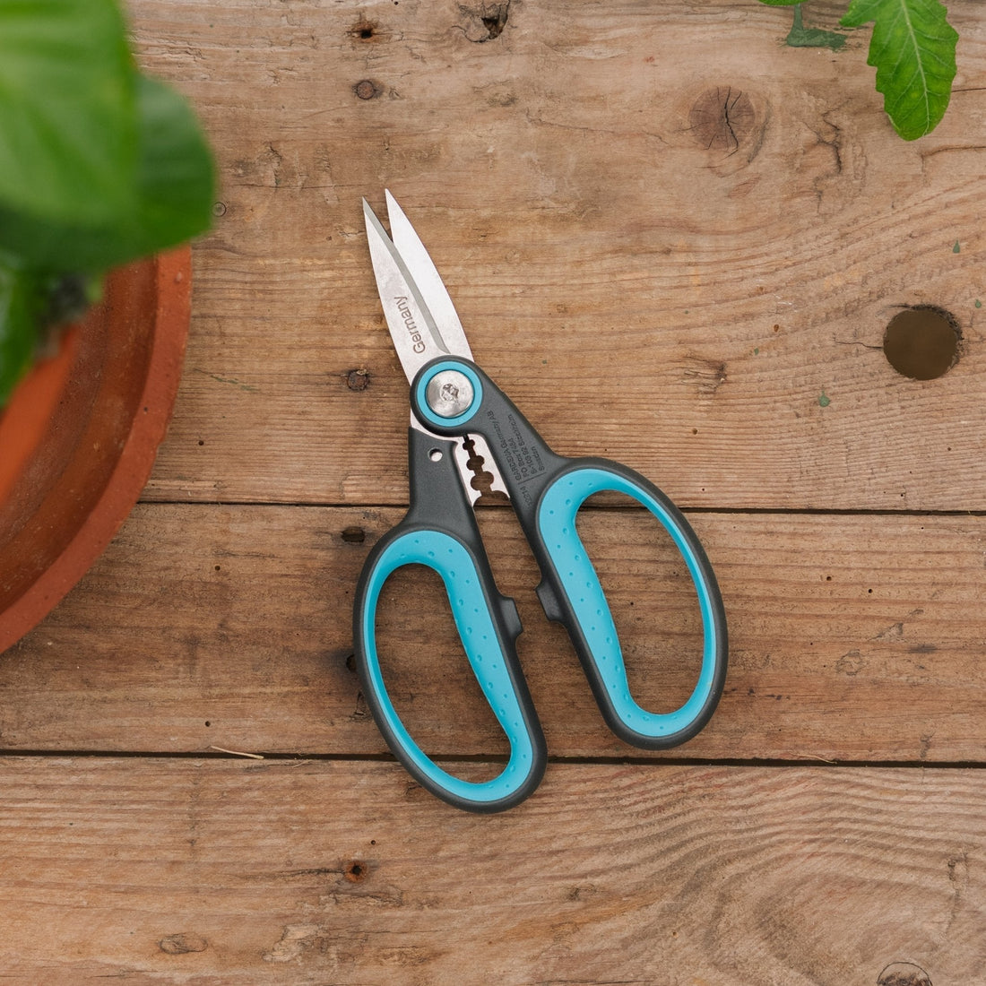 Ciseaux HerbCut pour herbes