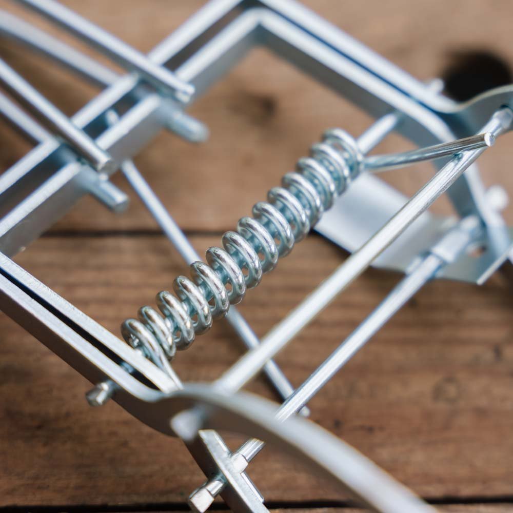 Ciseaux MoleFree Pro anti - taupes, 1 pièce