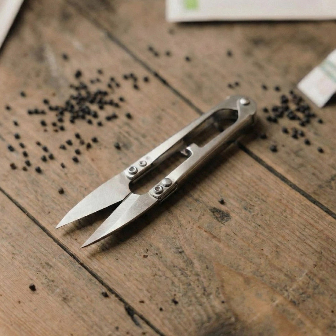 Ciseaux pour micro - pousses