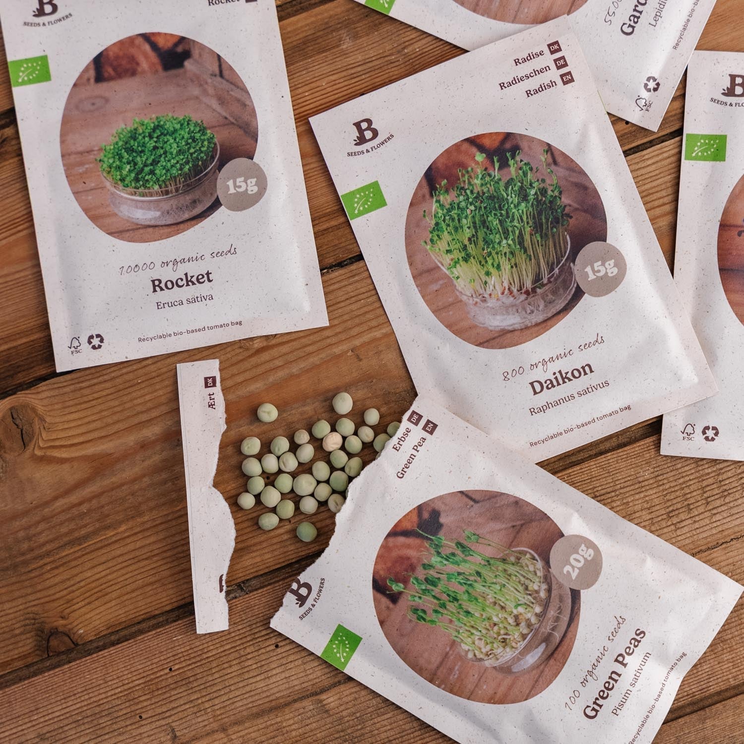 Coffret de micropousses - 5 sachets de graines biologiques