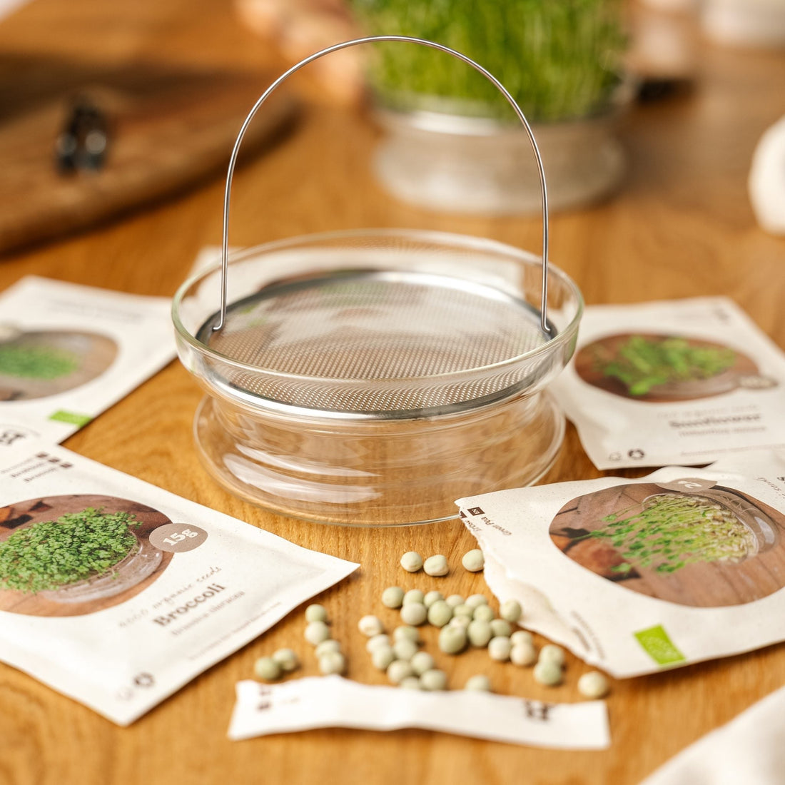 Coffret de micropousses avec coupelle de germination - 5 sachets de graines biologiques