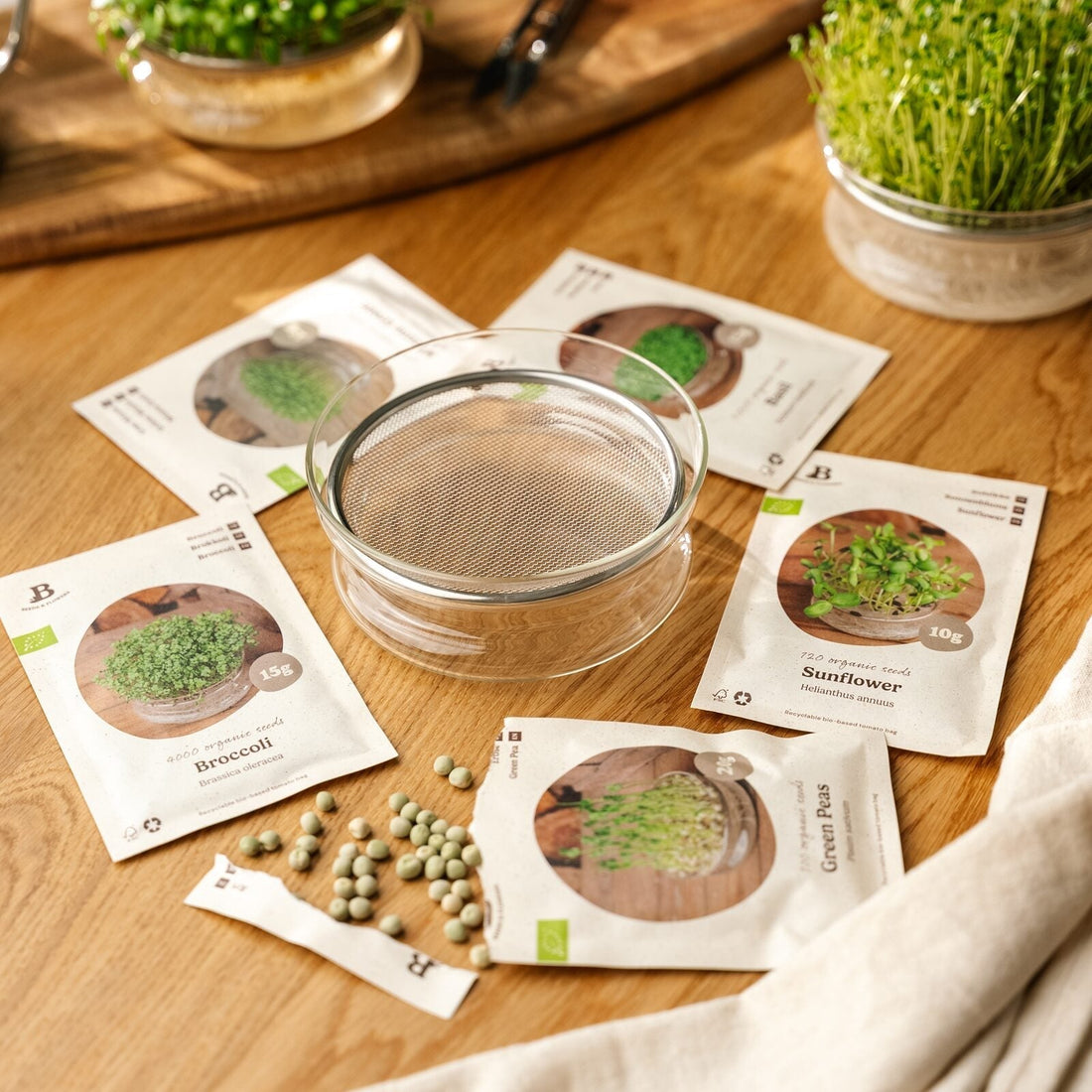 Coffret de micropousses avec coupelle de germination - 5 sachets de graines biologiques