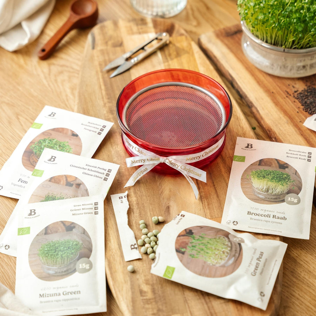 Coffret de Noël pour micropousses - 5 sachets de graines bio