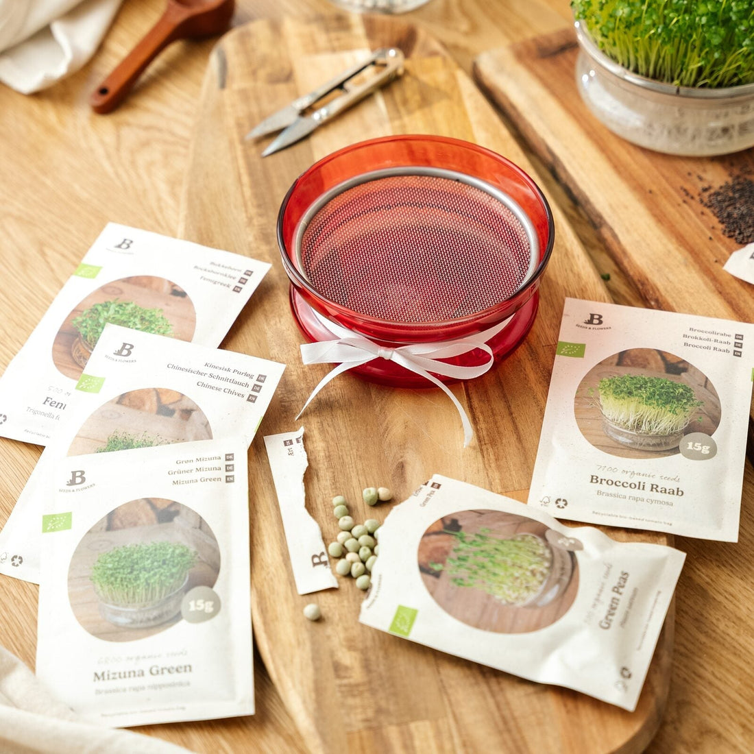 Coffret de Noël pour micropousses - 5 sachets de graines bio
