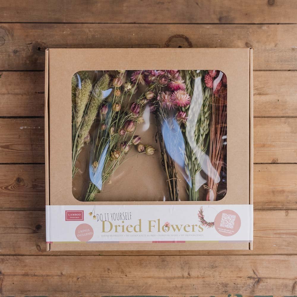 Coffret DIY Isabella, Bouquets éternels avec bagues