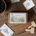 Coffret fleurs sauvages - 12 sachets de graines biologiques