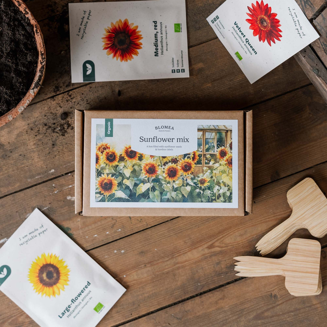 Coffret tournesol - 12 sachets de graines biologiques