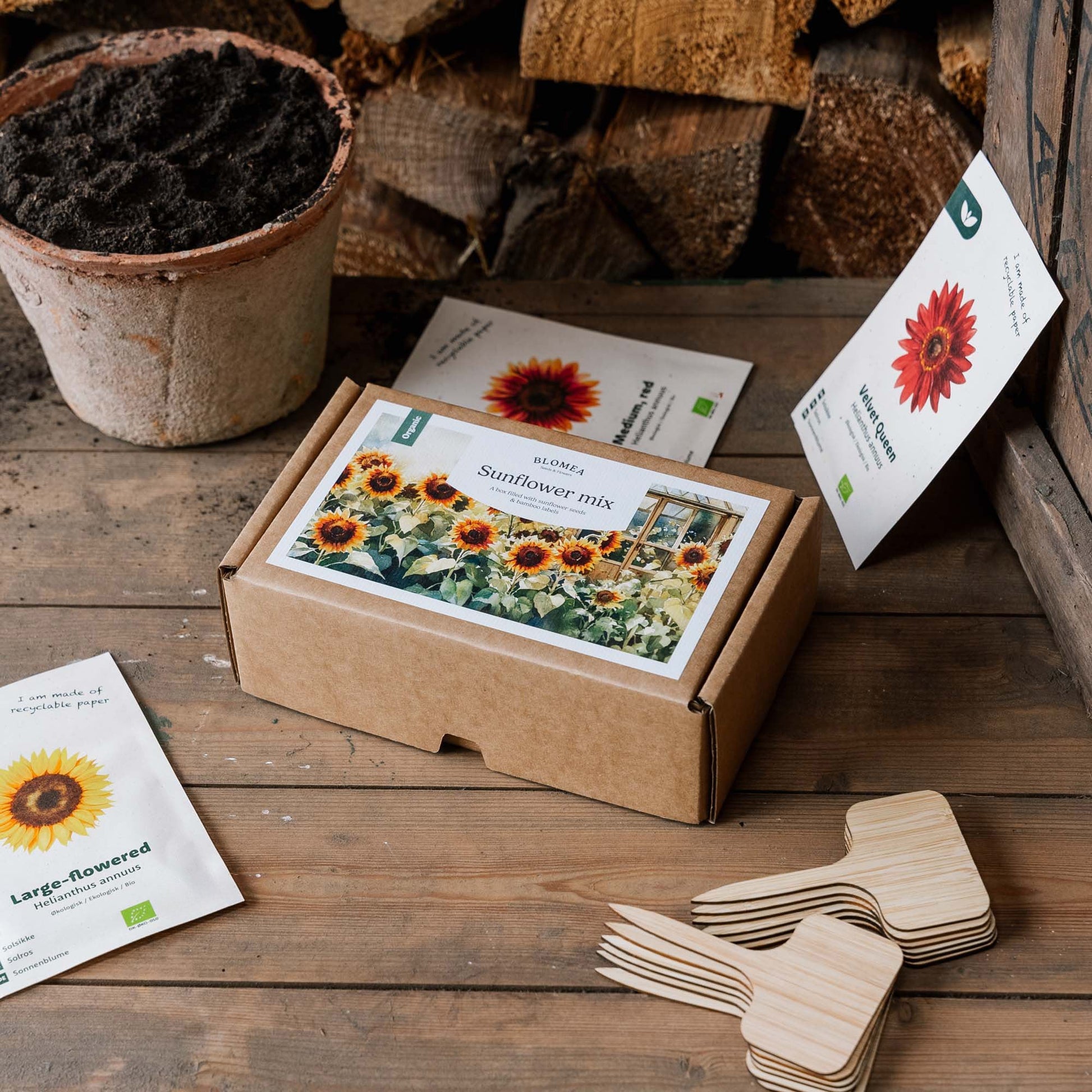 Coffret tournesol - 12 sachets de graines biologiques