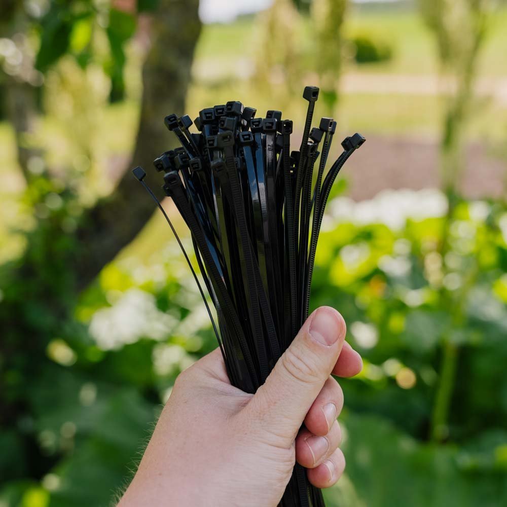 Colliers de serrage moyens, 5 pièces