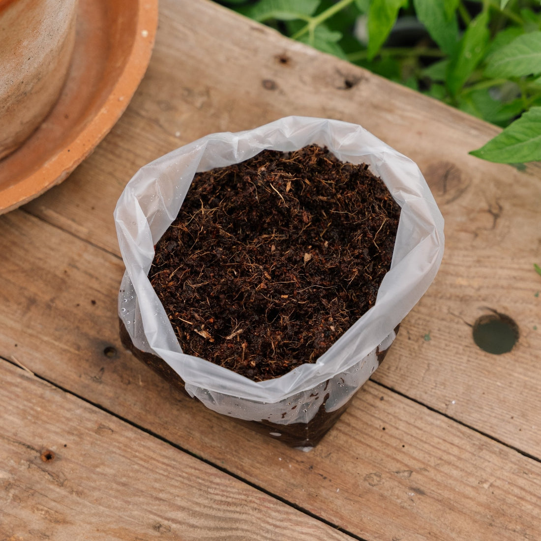 Copeaux de noix de coco 1 litre, 10x10 cm