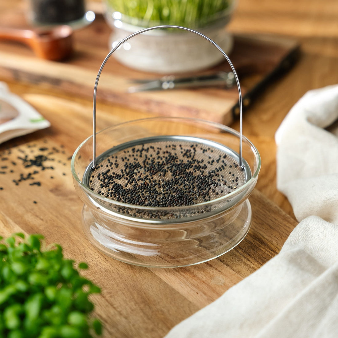 Coupelle de germination pour micropousse