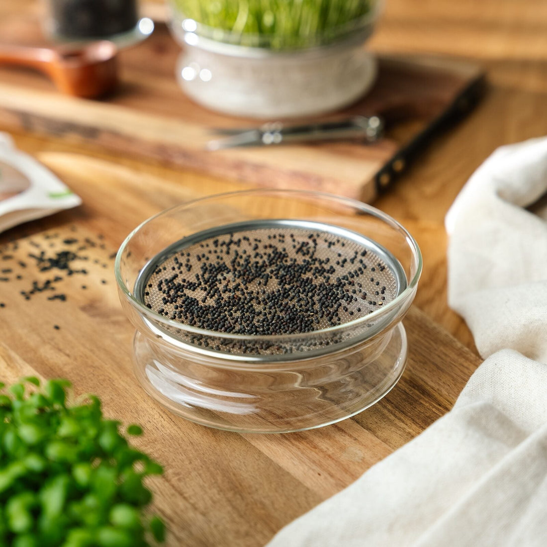 Coupelle de germination pour micropousse