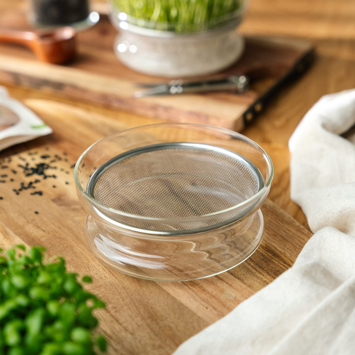 Coupelle de germination pour micropousse