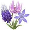 Fleurs de printemps