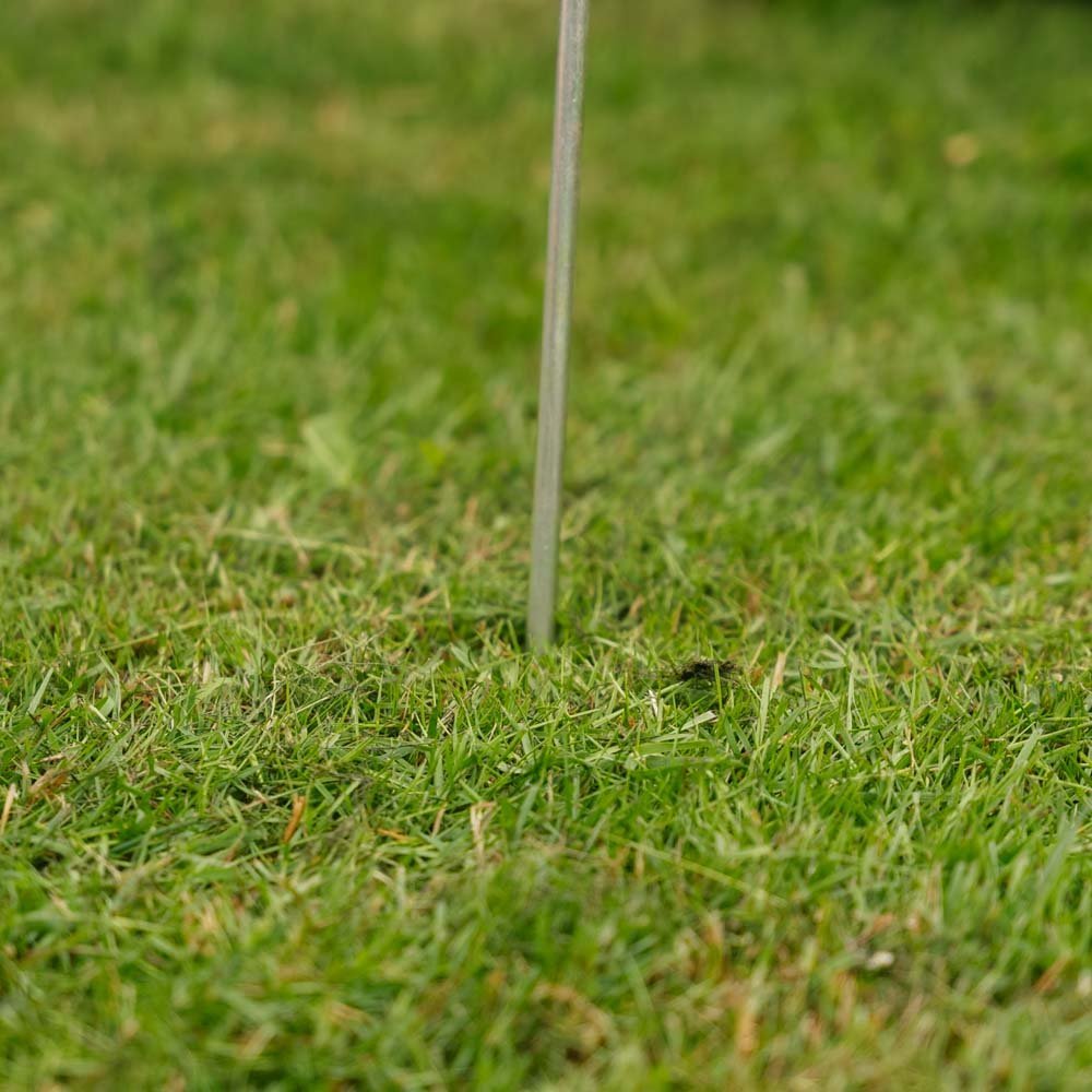 Détecteur de galeries anti - taupe, 1 pièce