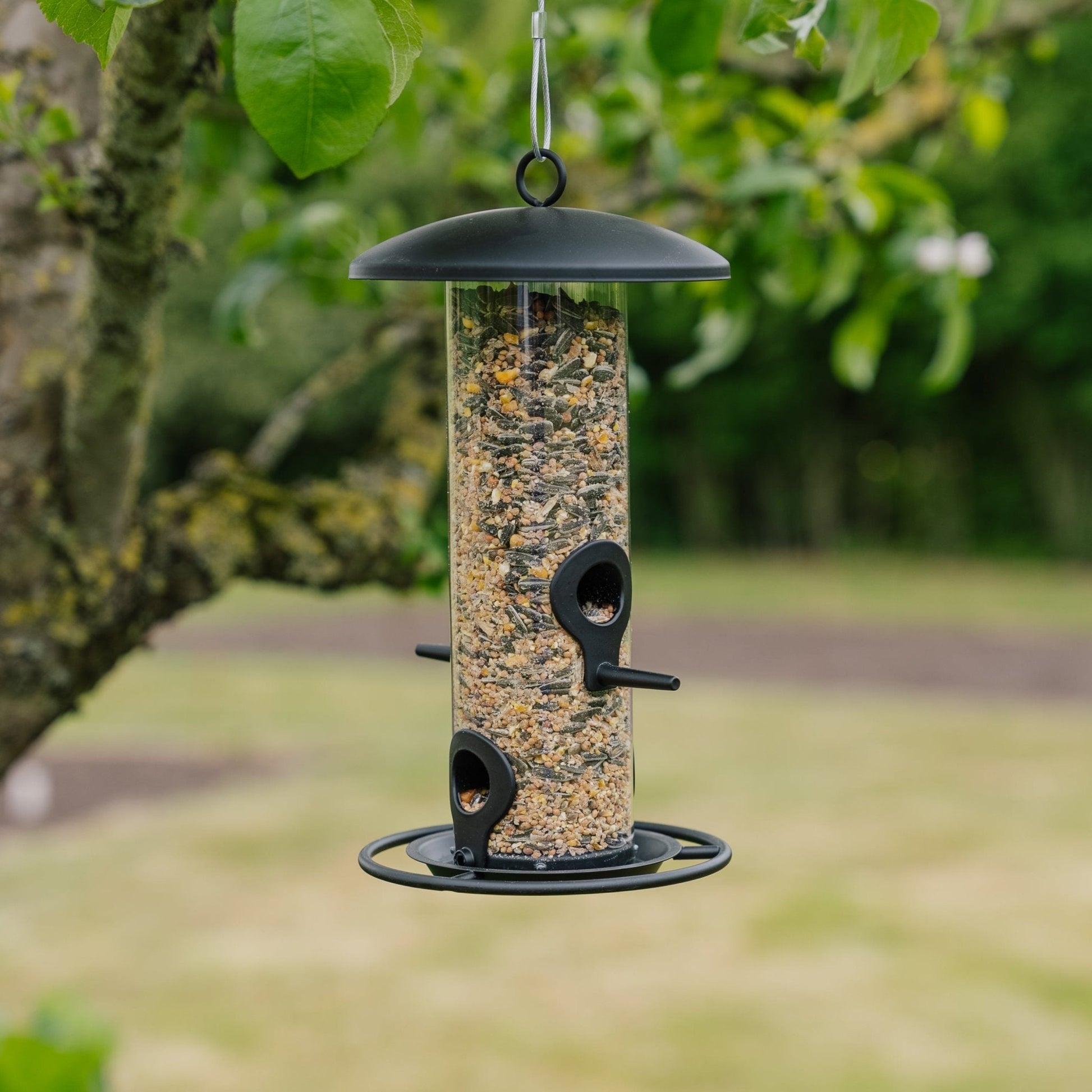 Distributeur de graines noir, Ø : 14 cm H : 26 cm