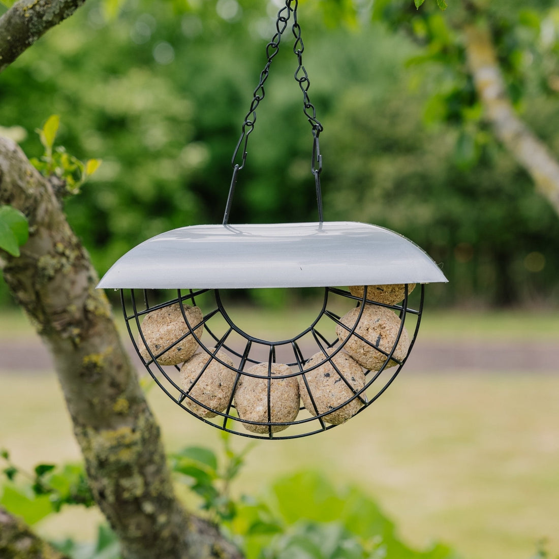 Distributeur demi - lune pour boules de graisse, incluant 6 boules de graisse