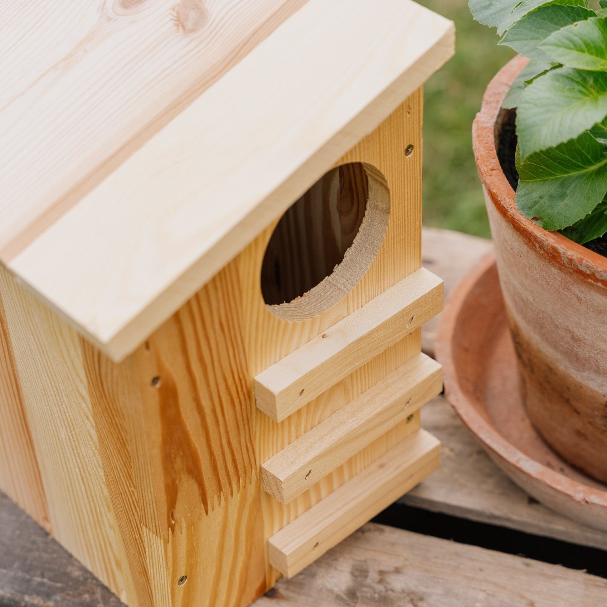 Distributeur, motif écureuil, L : 19 cm l : 26 cm H : 29 cm