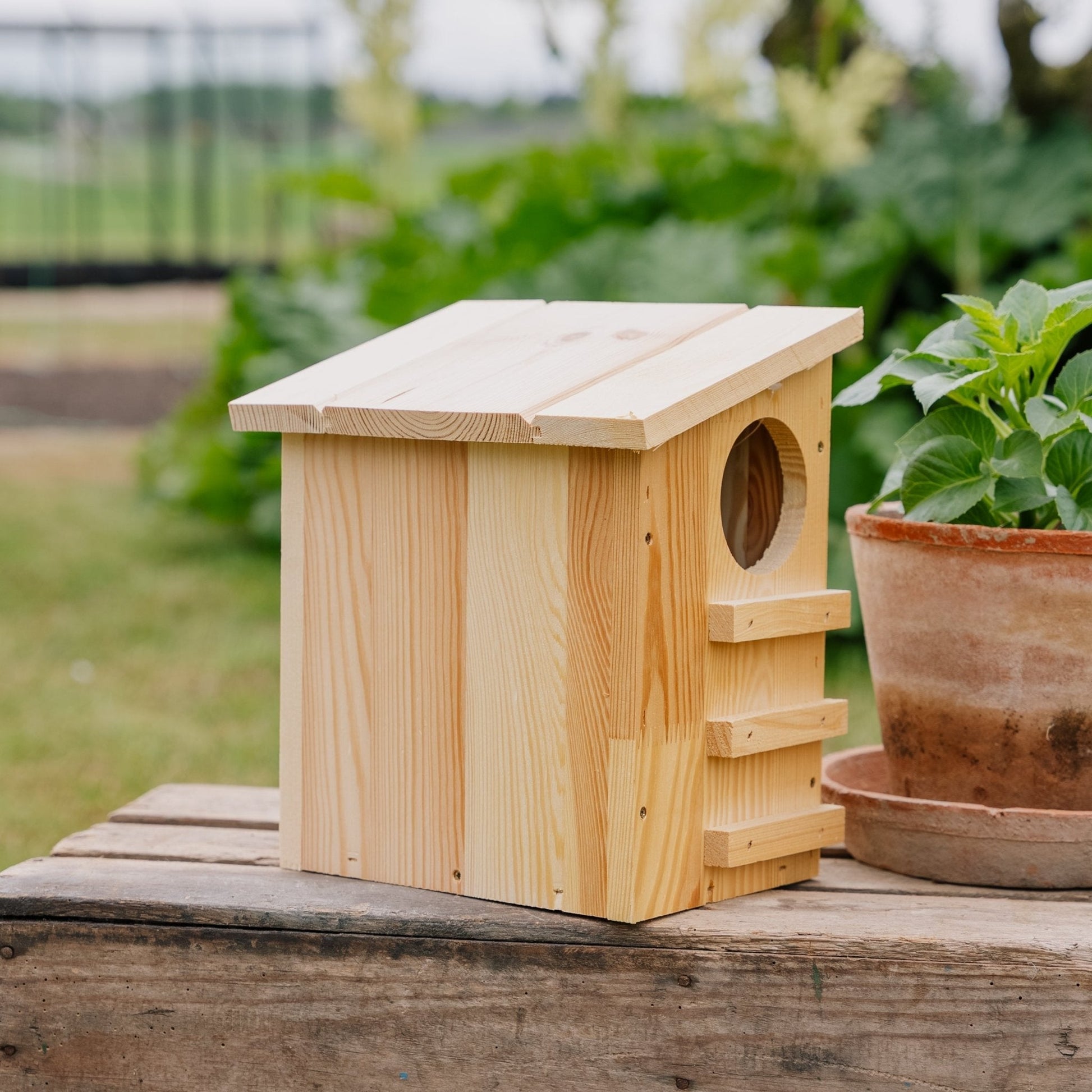 Distributeur, motif écureuil, L : 19 cm l : 26 cm H : 29 cm