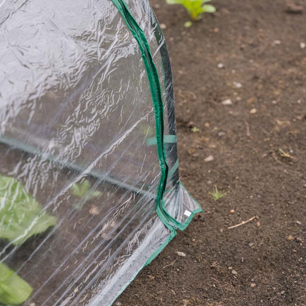 Dôme à semis moyen, L : 92 cm l : 90 cm H : 72 cm