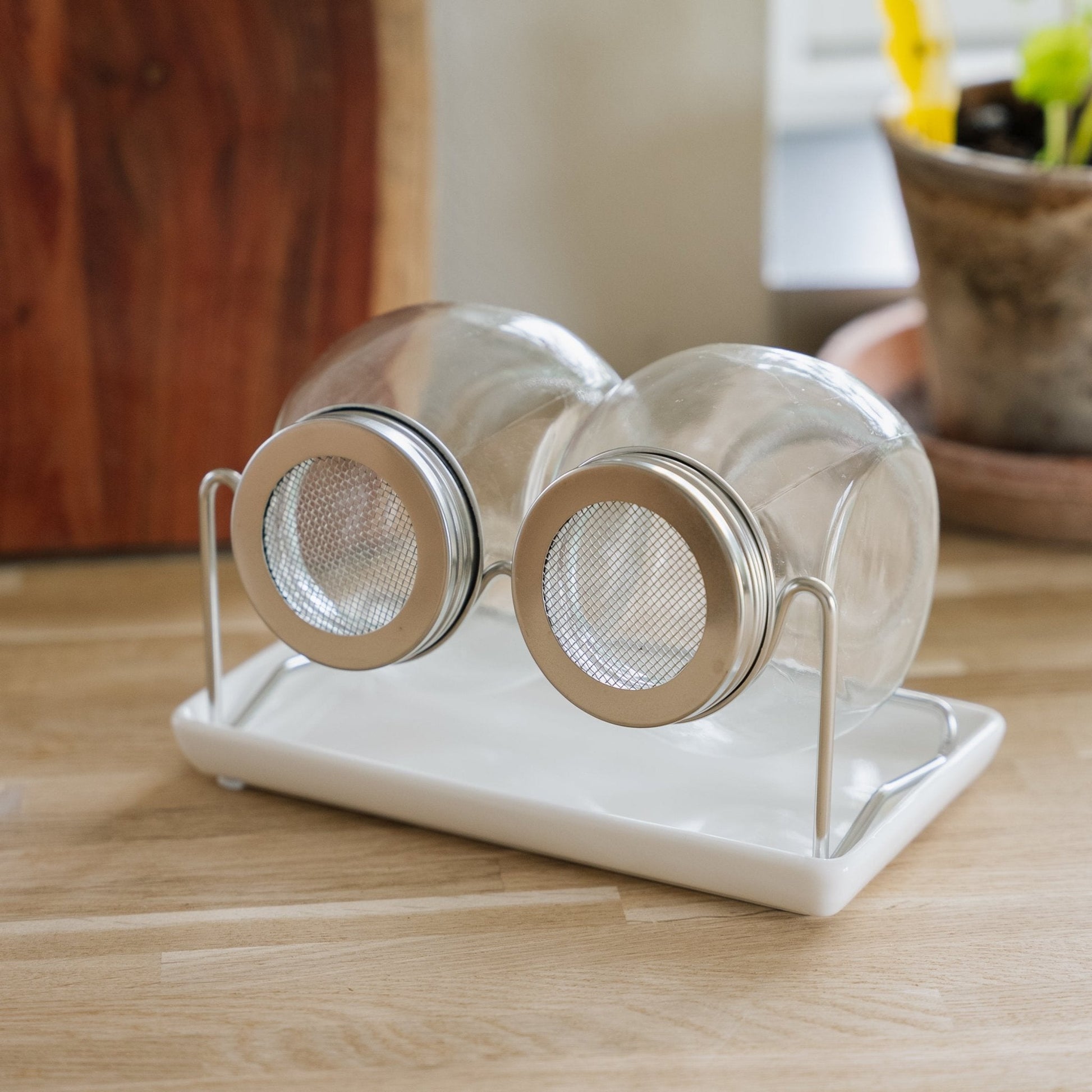 Ensemble de germination avec plateau