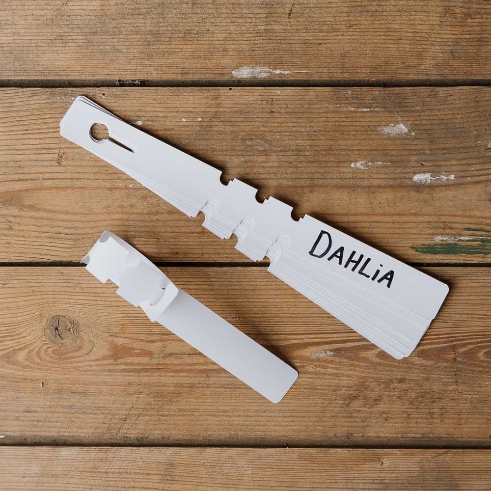 Étiquettes Dahlia, 10 pièces