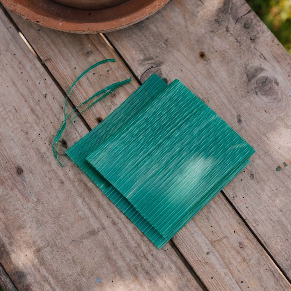 Fil de plantation, 13 cm