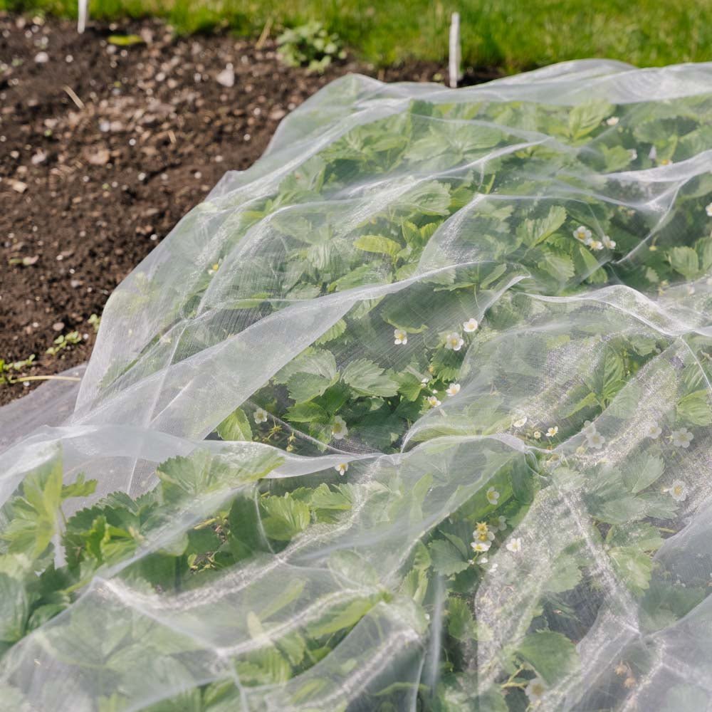 Filet anti - insectes, 2x5 m