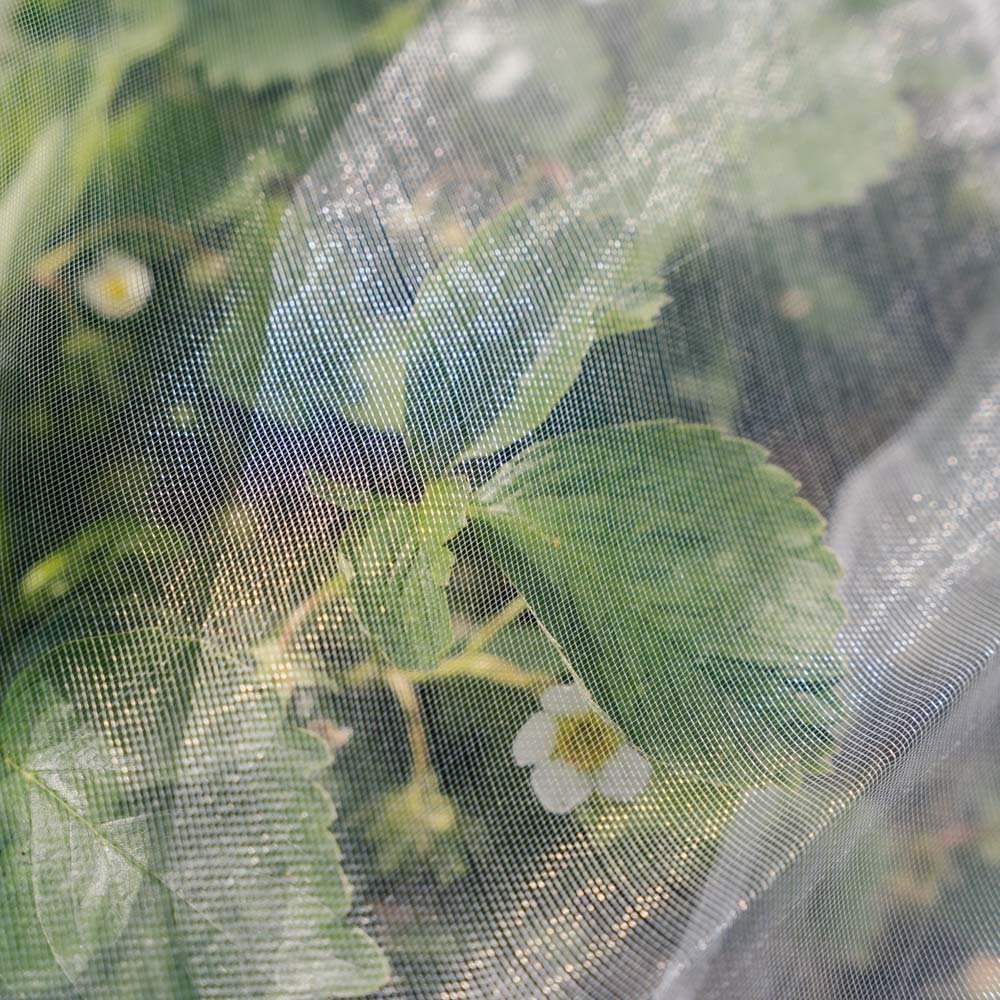 Filet anti - insectes, 4x5 m