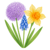 Fleurs de printemps