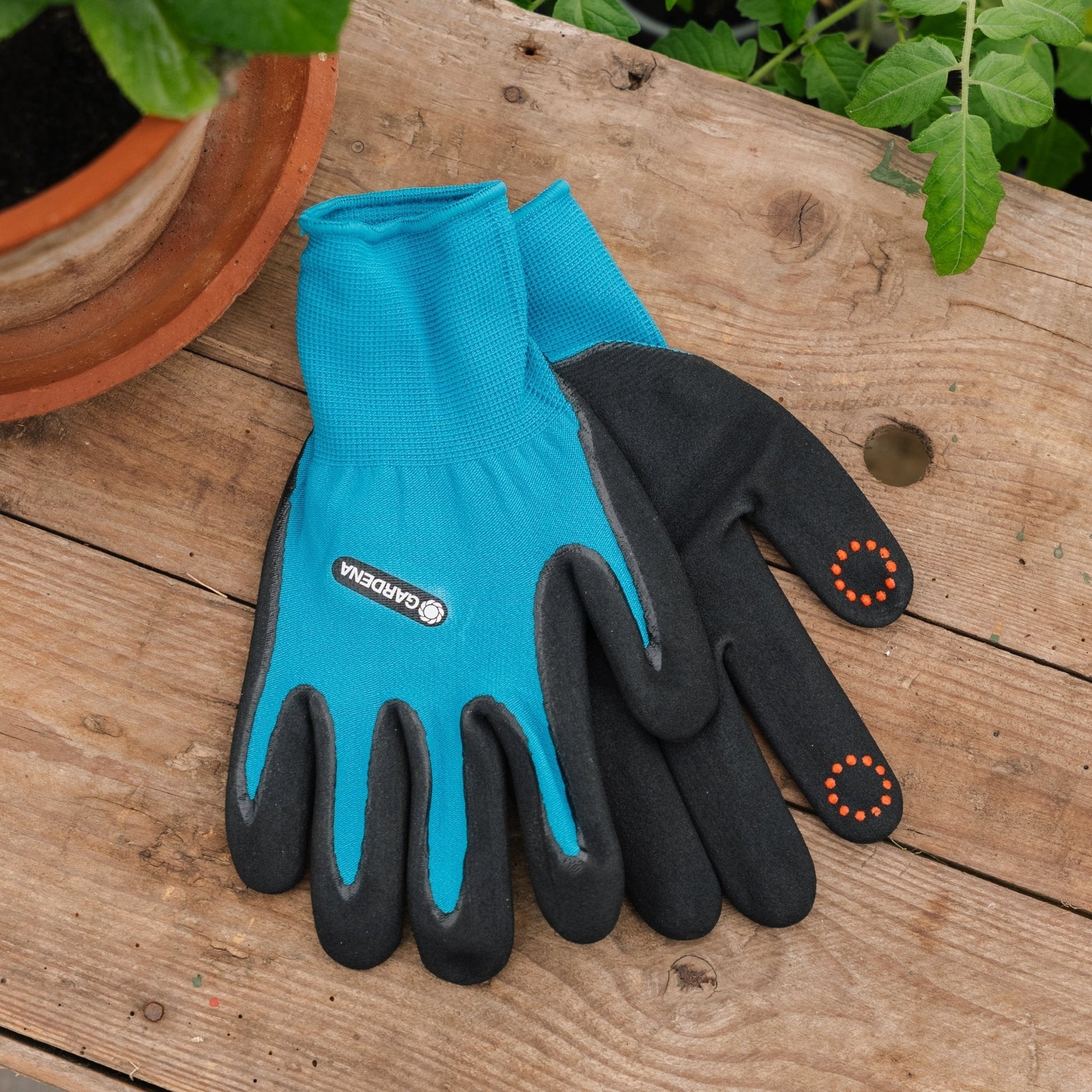 Gants de plantation, L