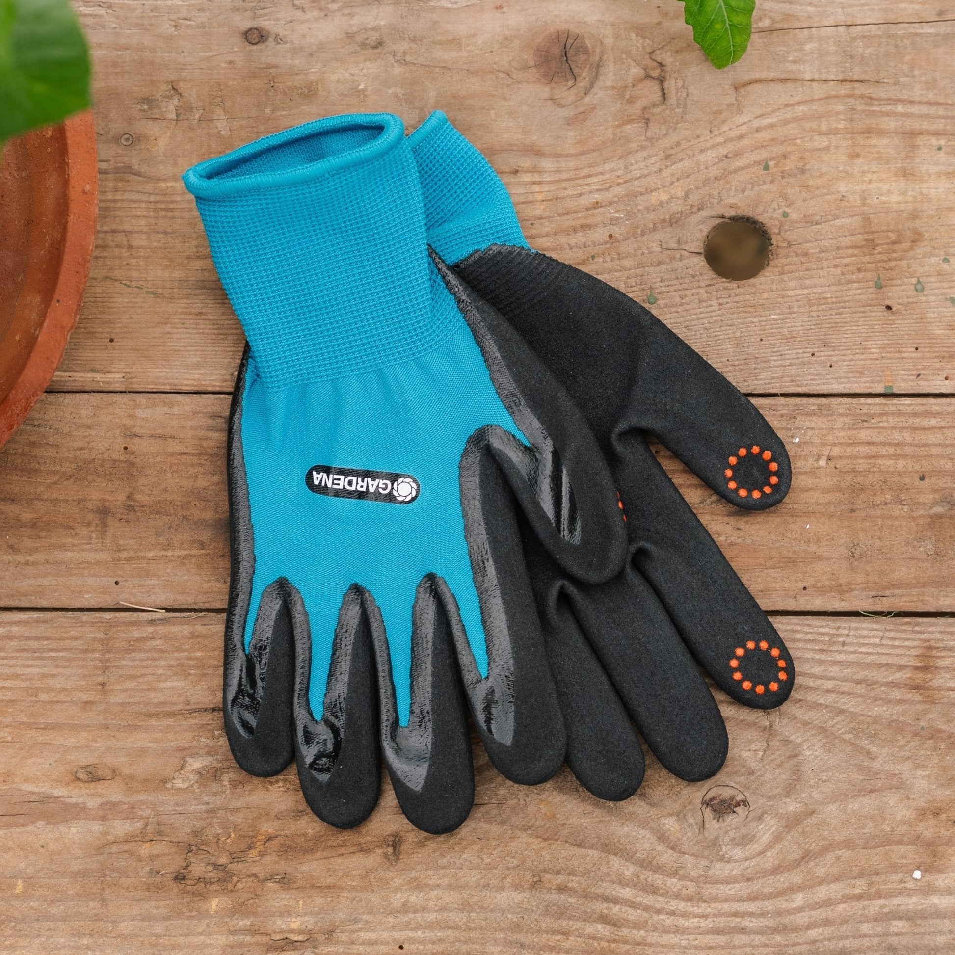Gants de plantation, S