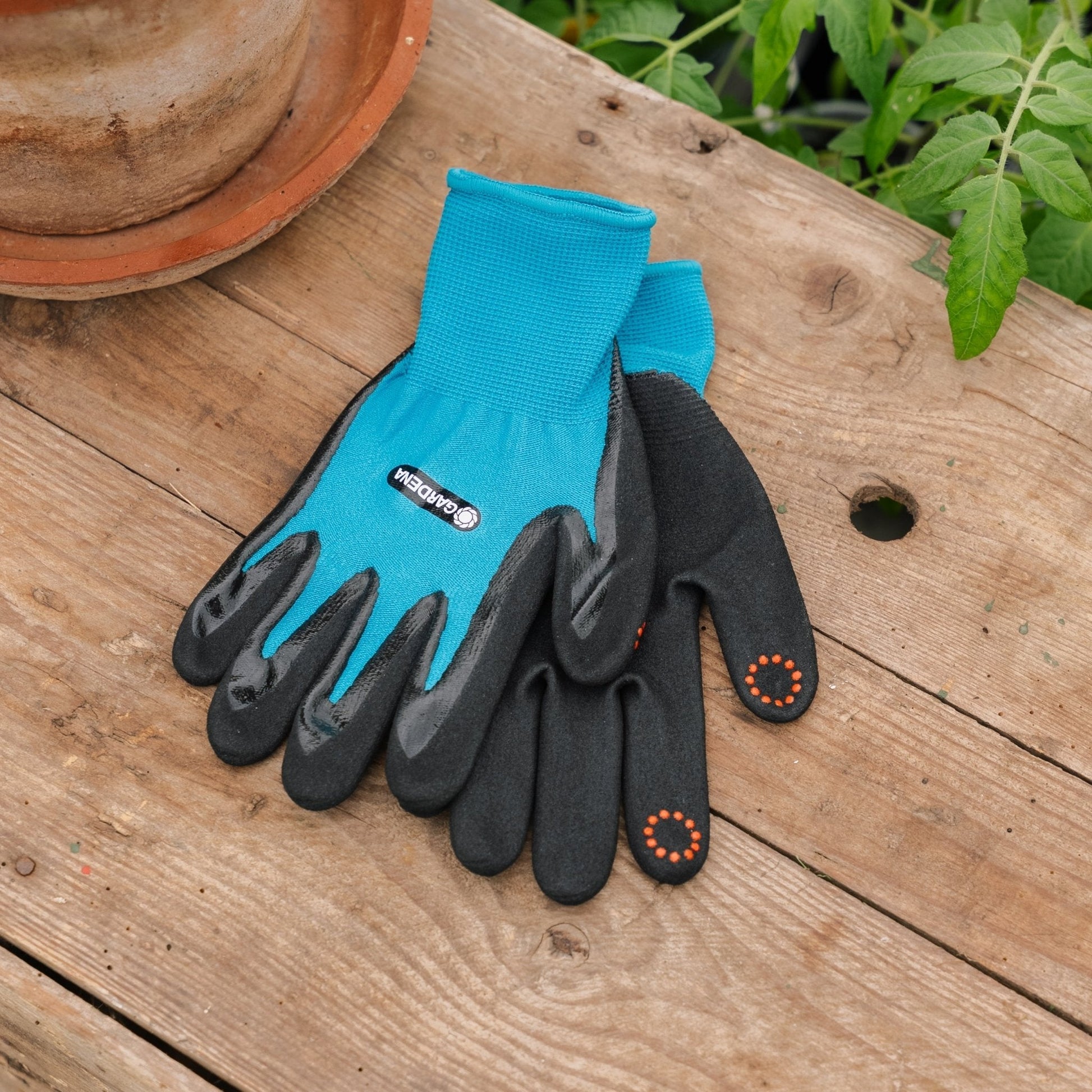 Gants de plantation, S