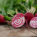 Graines de betterave 'Chioggia' - 50 graines biologiques