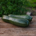 Graines de courgette 'Zucchini' - 6 graines biologiques