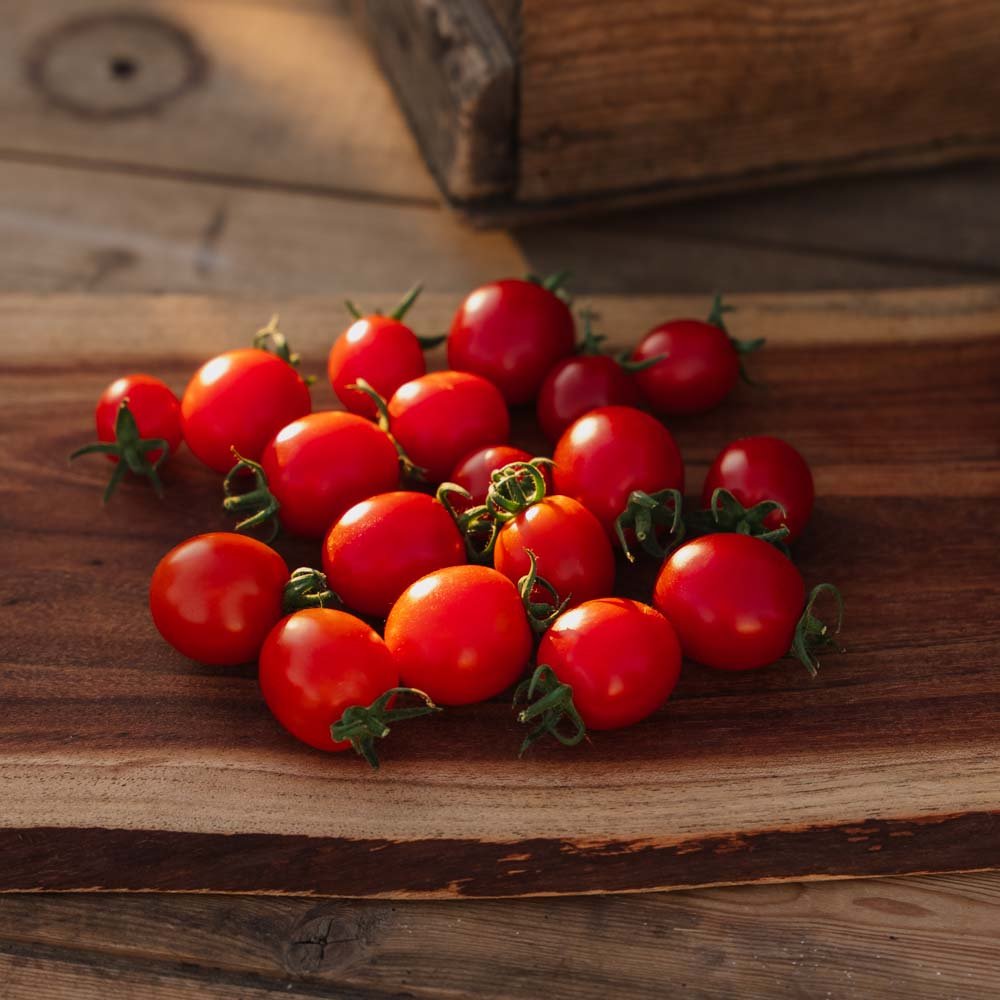 Graines de tomates cerises 'Bartelly F1' - 5 graines biologiques