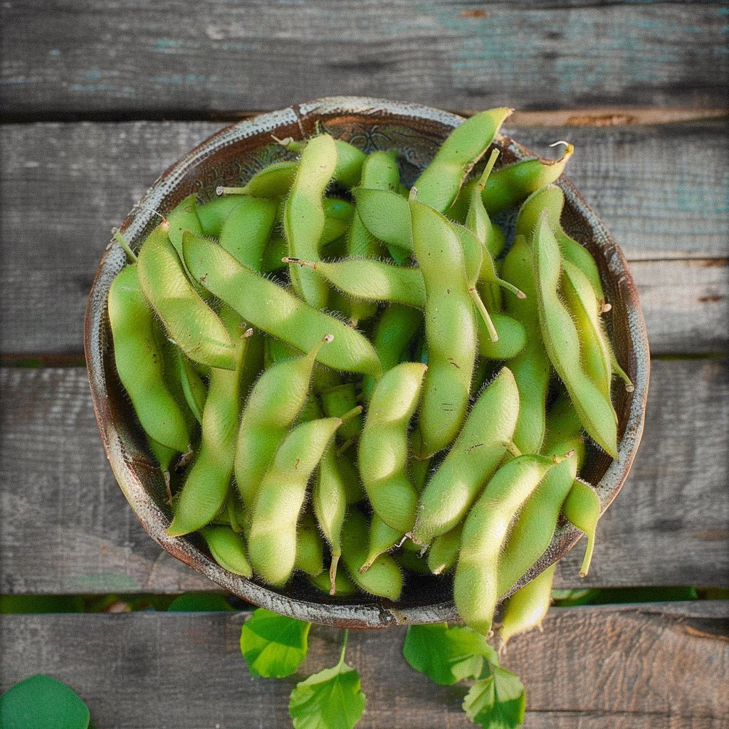 Graines d'edamame 'Chiba Green' - 5 graines biologiques