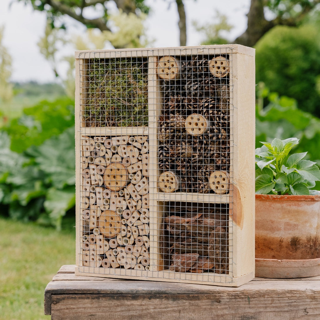 Grand hôtel à insectes, L : 12 cm l : 50 cm H : 38 cm