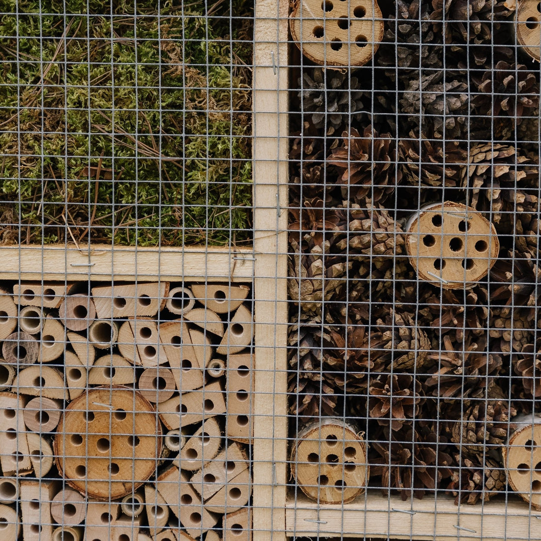 Grand hôtel à insectes, L : 12 cm l : 50 cm H : 38 cm