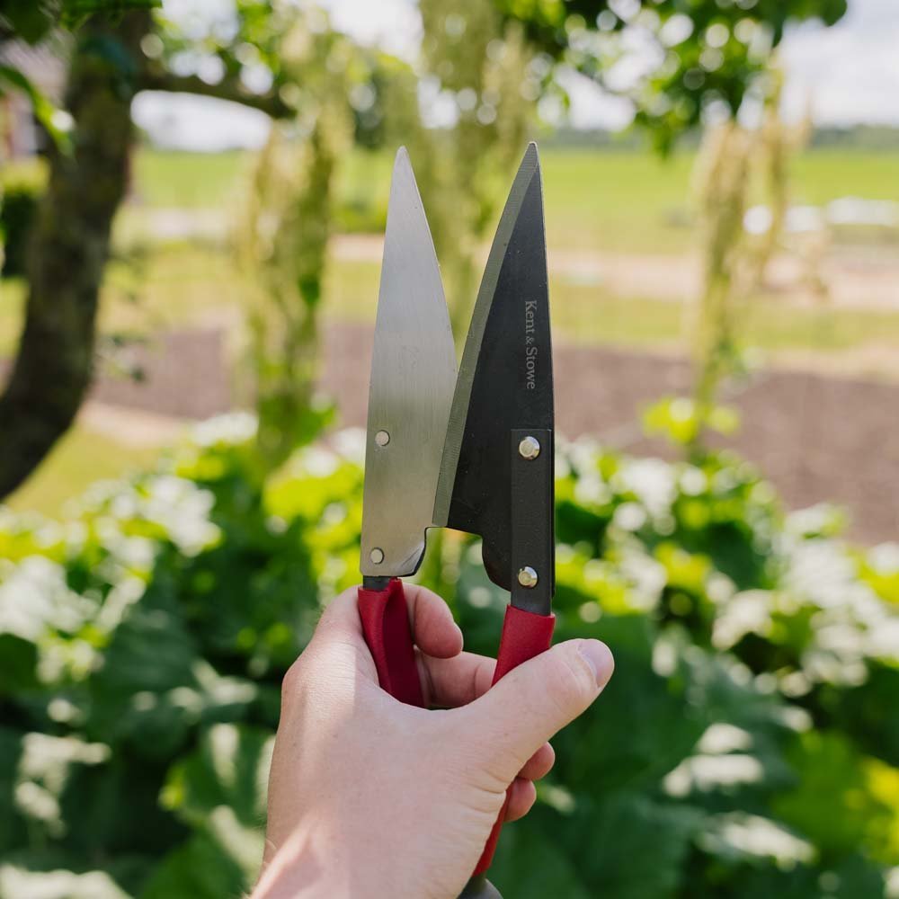 Grands ciseaux pour topiaires