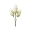 Graines de fleurs