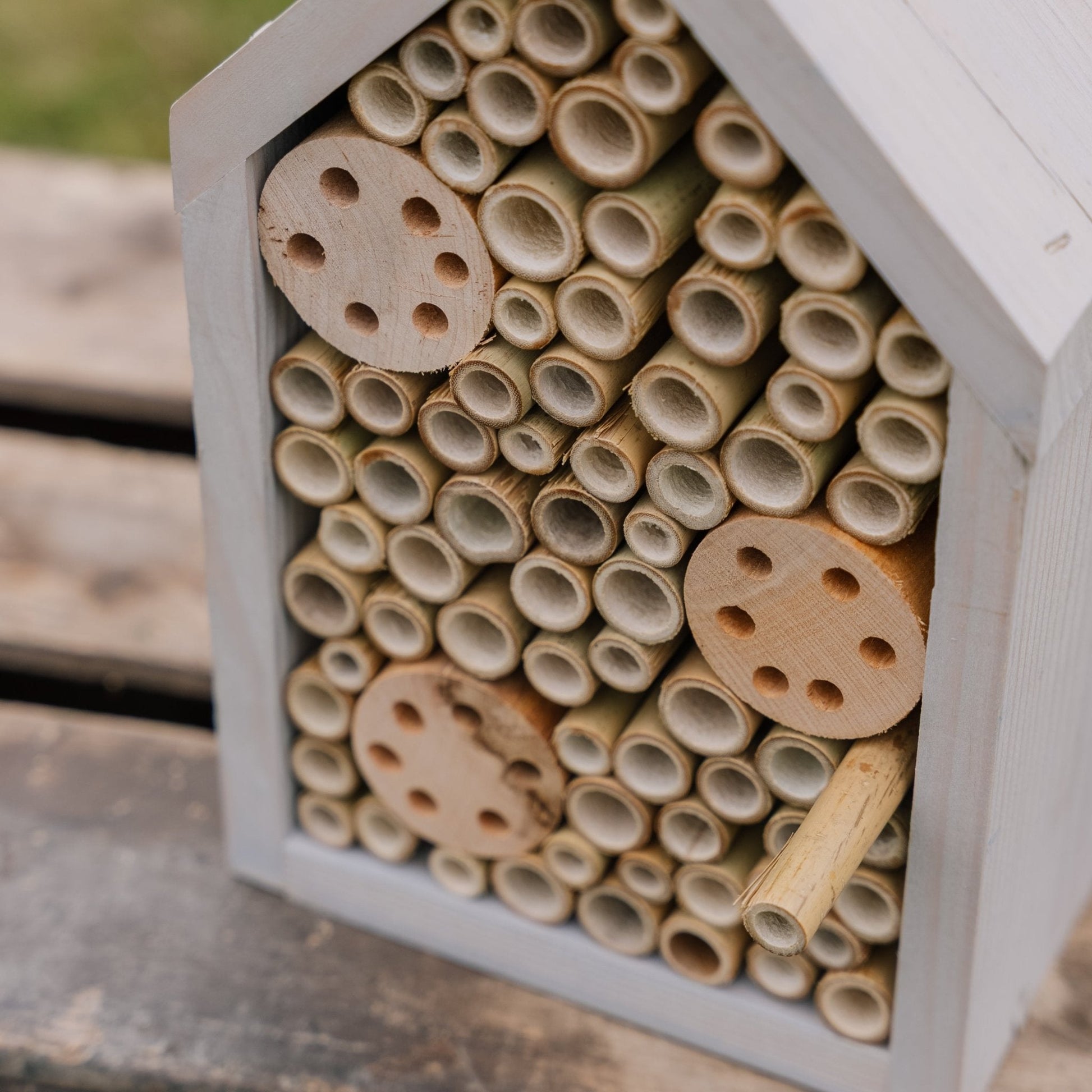 Hôtel à insectes en pin, L : 14 cm l : 17 cm H : 28 cm