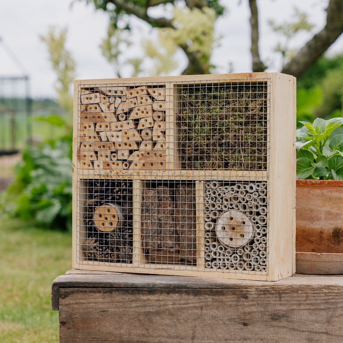 Hôtel à insectes, naturel, L : 12 cm l : 38 cm H : 43 cm